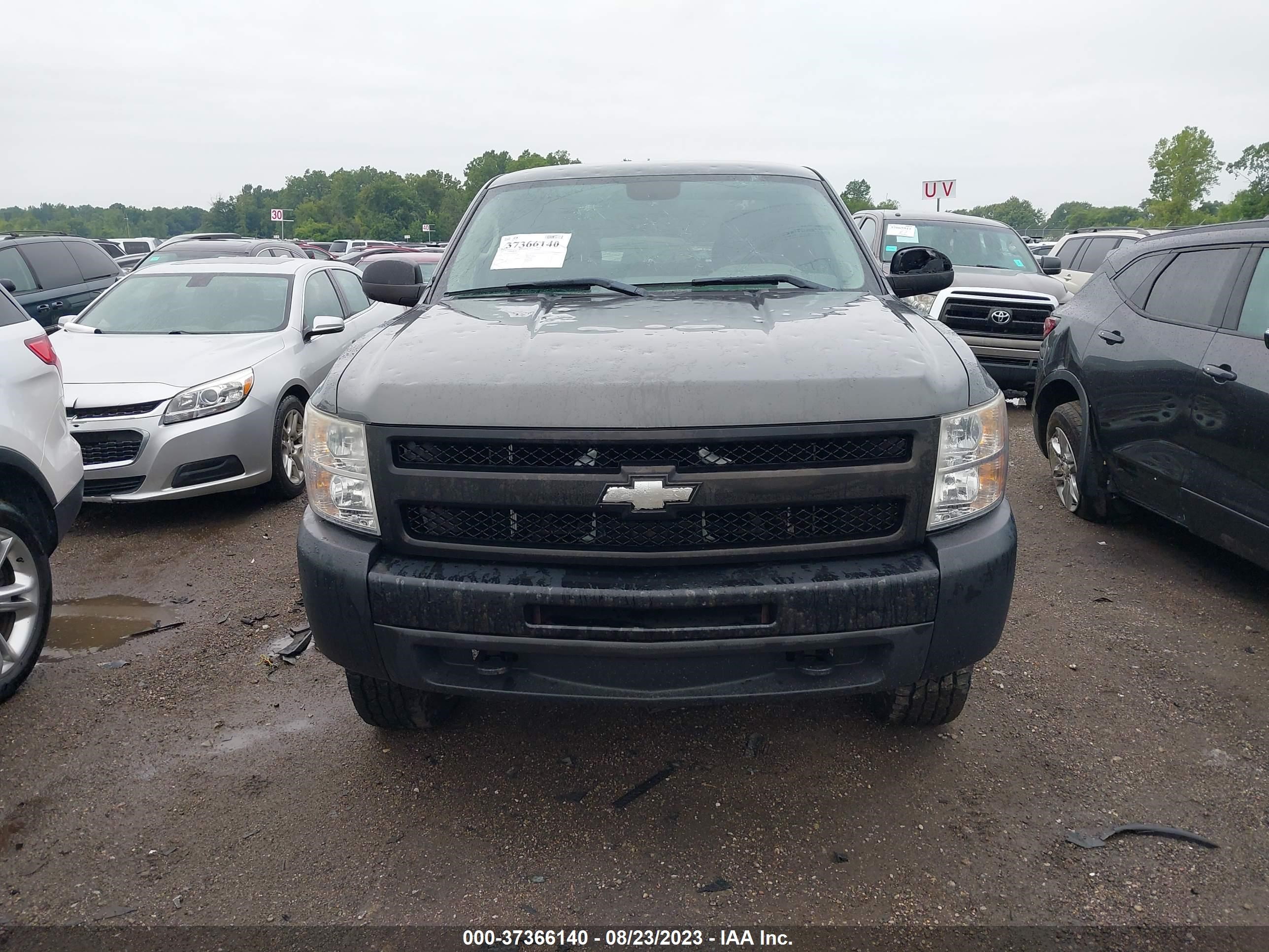 Photo 11 VIN: 1GCRKPE33BZ382665 - CHEVROLET SILVERADO 