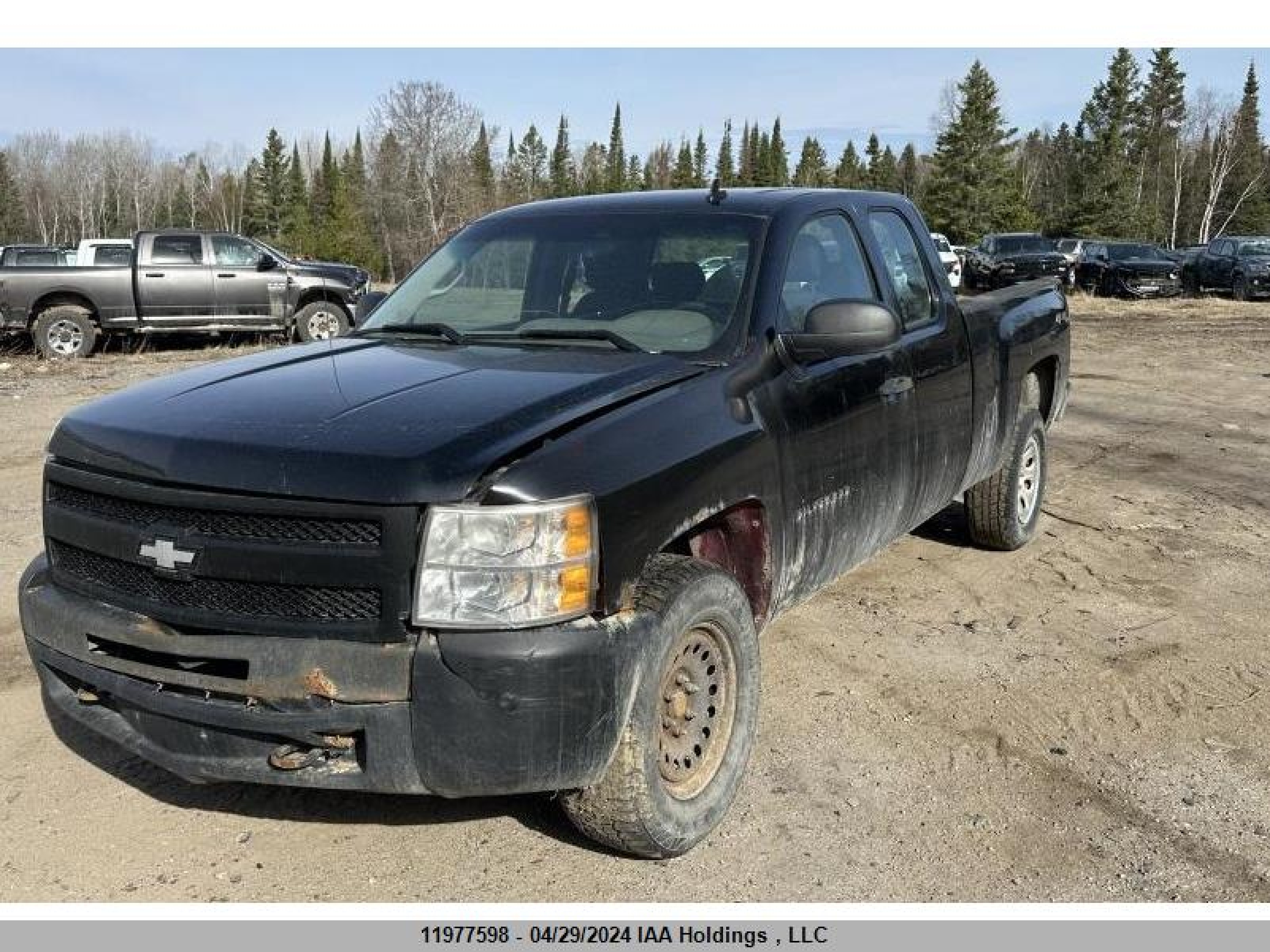 Photo 6 VIN: 1GCRKPEA7BZ416508 - CHEVROLET SILVERADO 