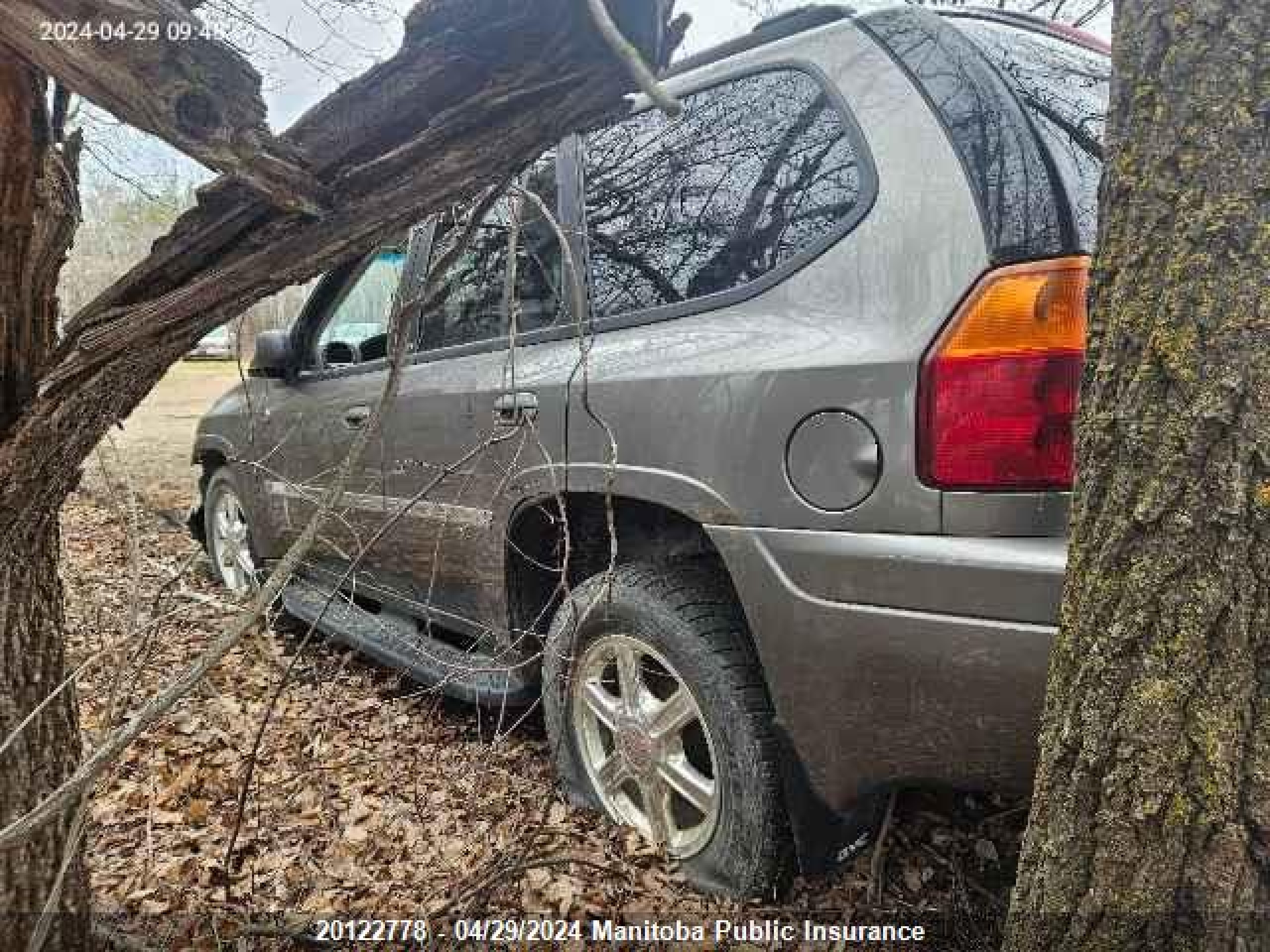 Photo 2 VIN: 1GKDT13S872193934 - GMC ENVOY 