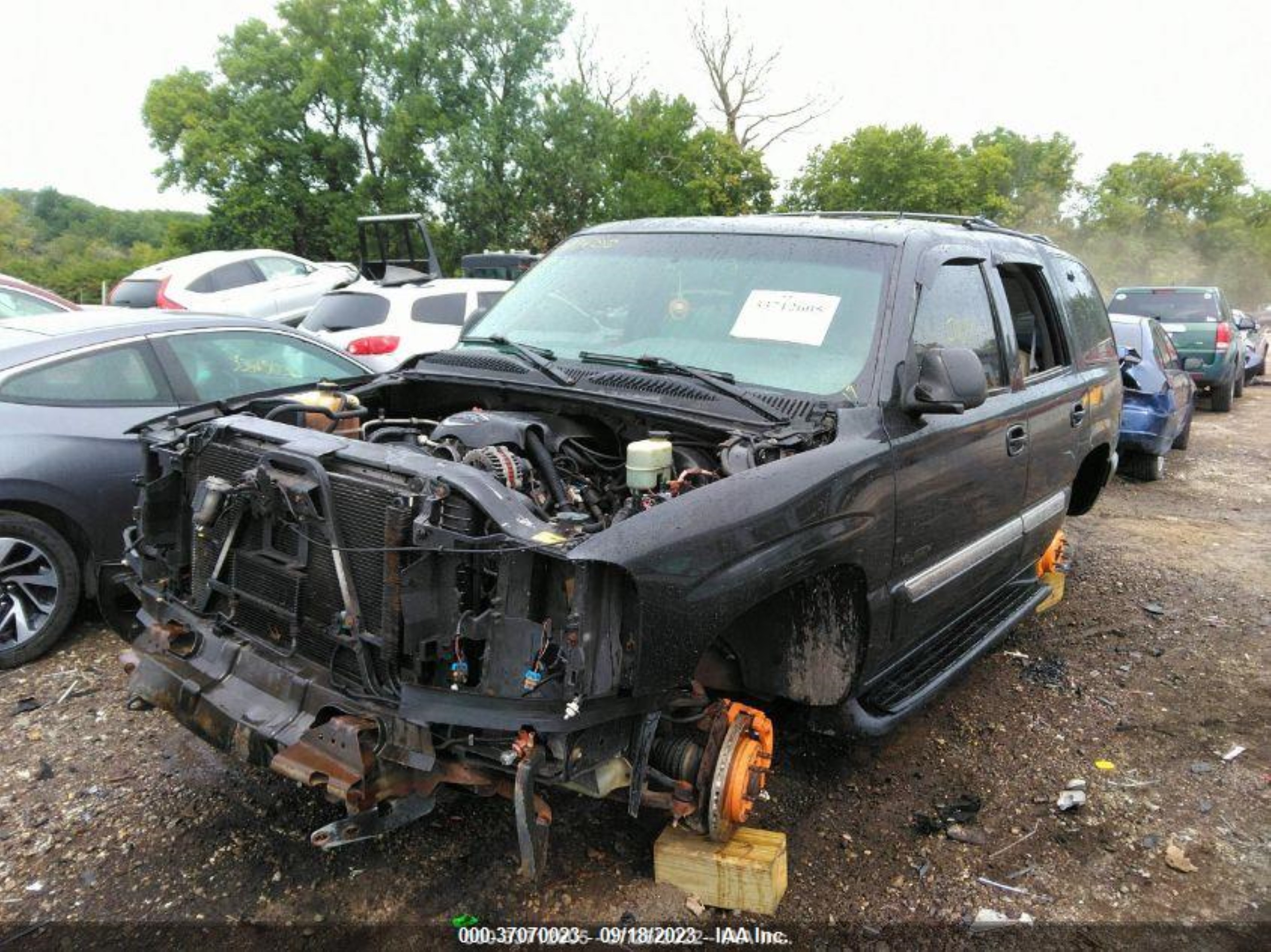 Photo 5 VIN: 1GKEK13T31J229557 - GMC YUKON 