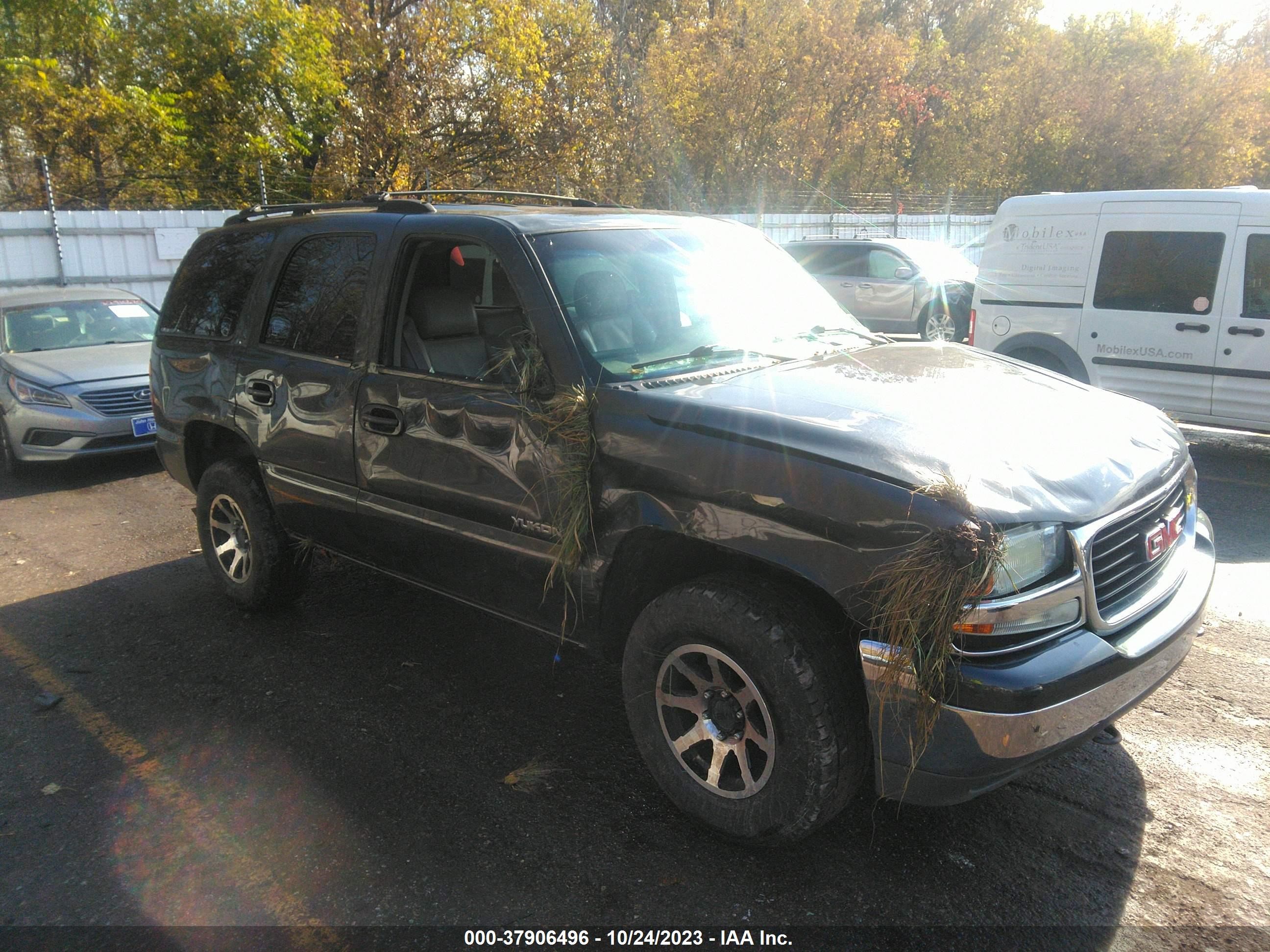 Photo 0 VIN: 1GKEK13Z03J295328 - GMC YUKON 