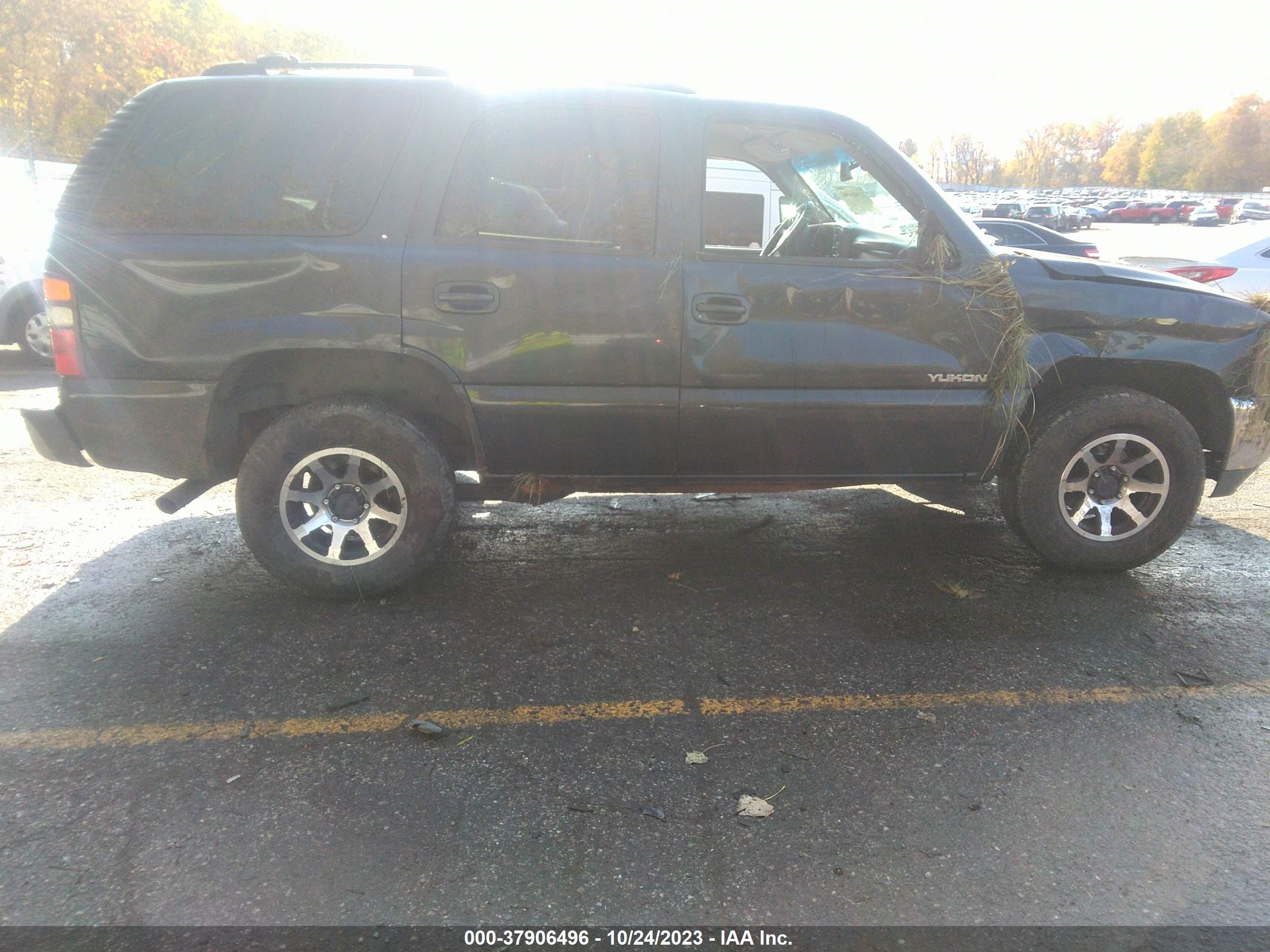 Photo 12 VIN: 1GKEK13Z03J295328 - GMC YUKON 