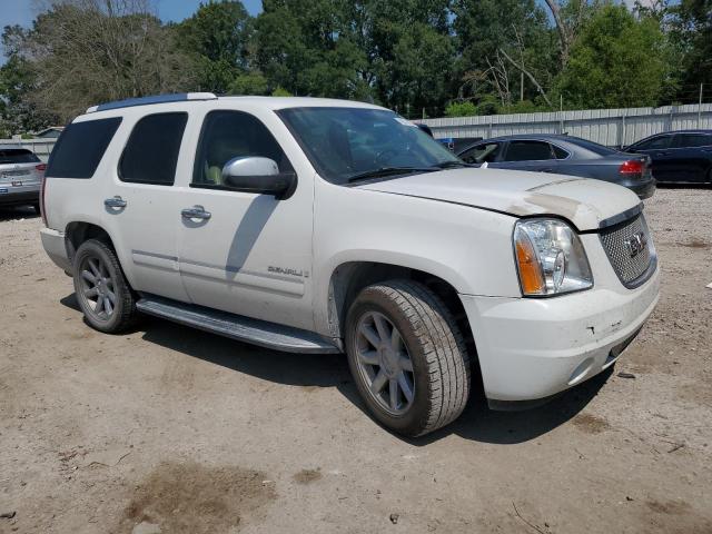 Photo 3 VIN: 1GKFK03289R145141 - GMC YUKON DENA 