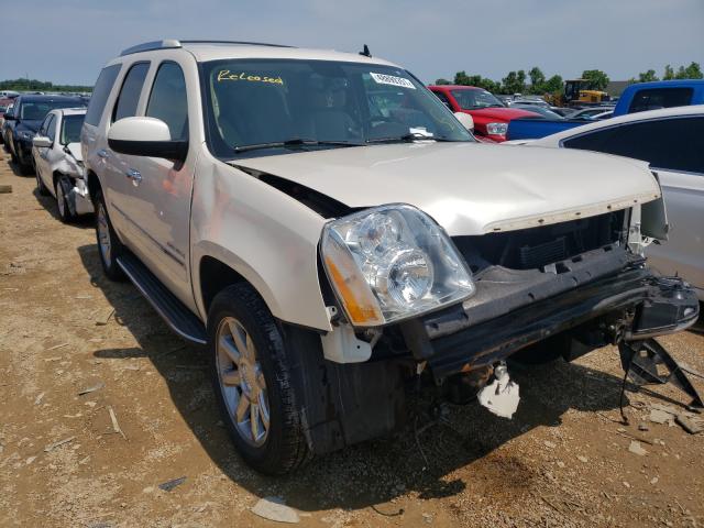 Photo 0 VIN: 1GKS2EEF1DR253279 - GMC YUKON DENA 