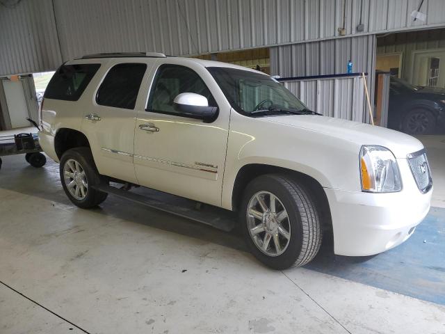 Photo 3 VIN: 1GKUKEEF1AR272404 - GMC YUKON DENA 