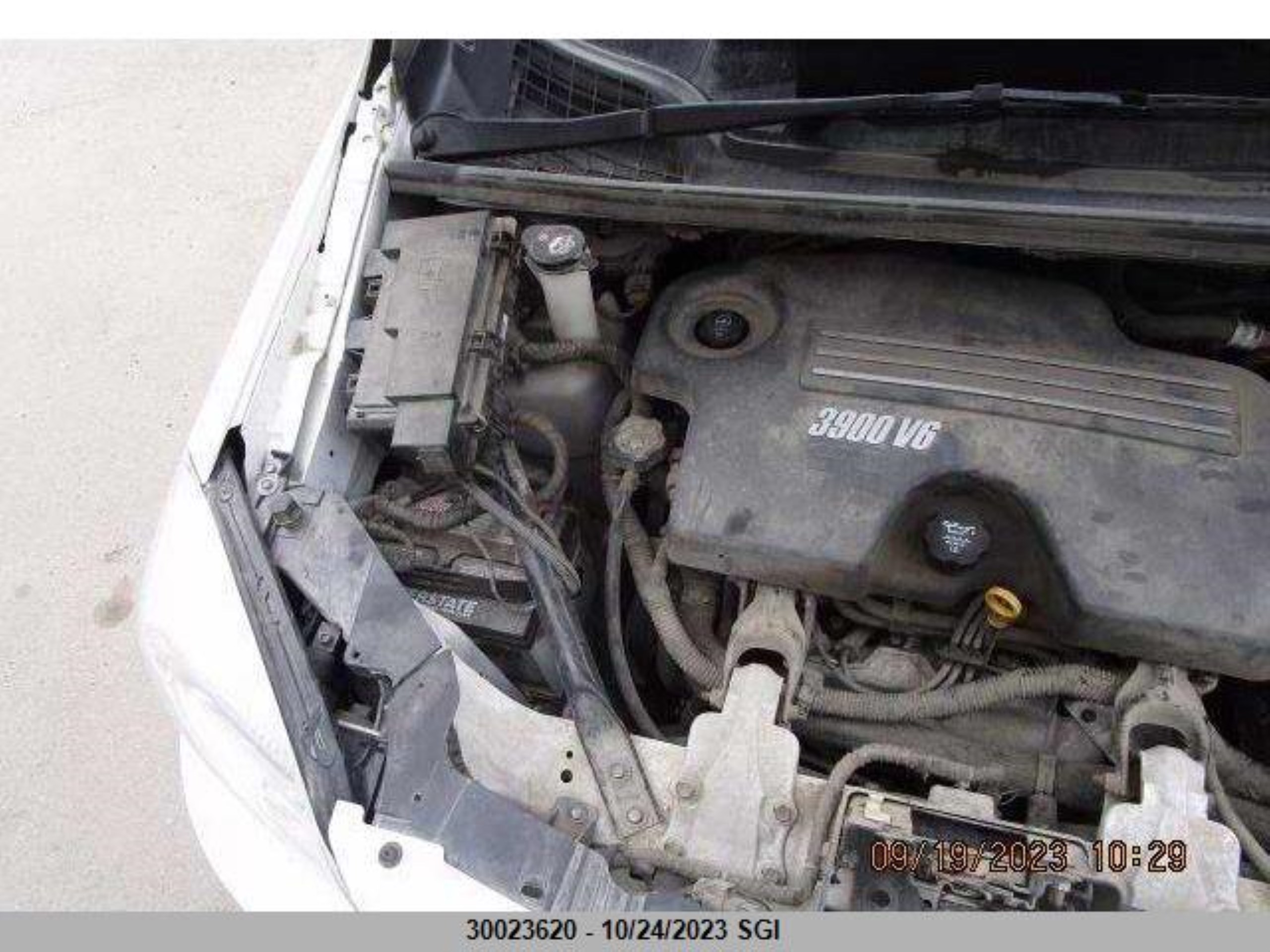 Photo 13 VIN: 1GMDU03189D114114 - PONTIAC MONTANA 