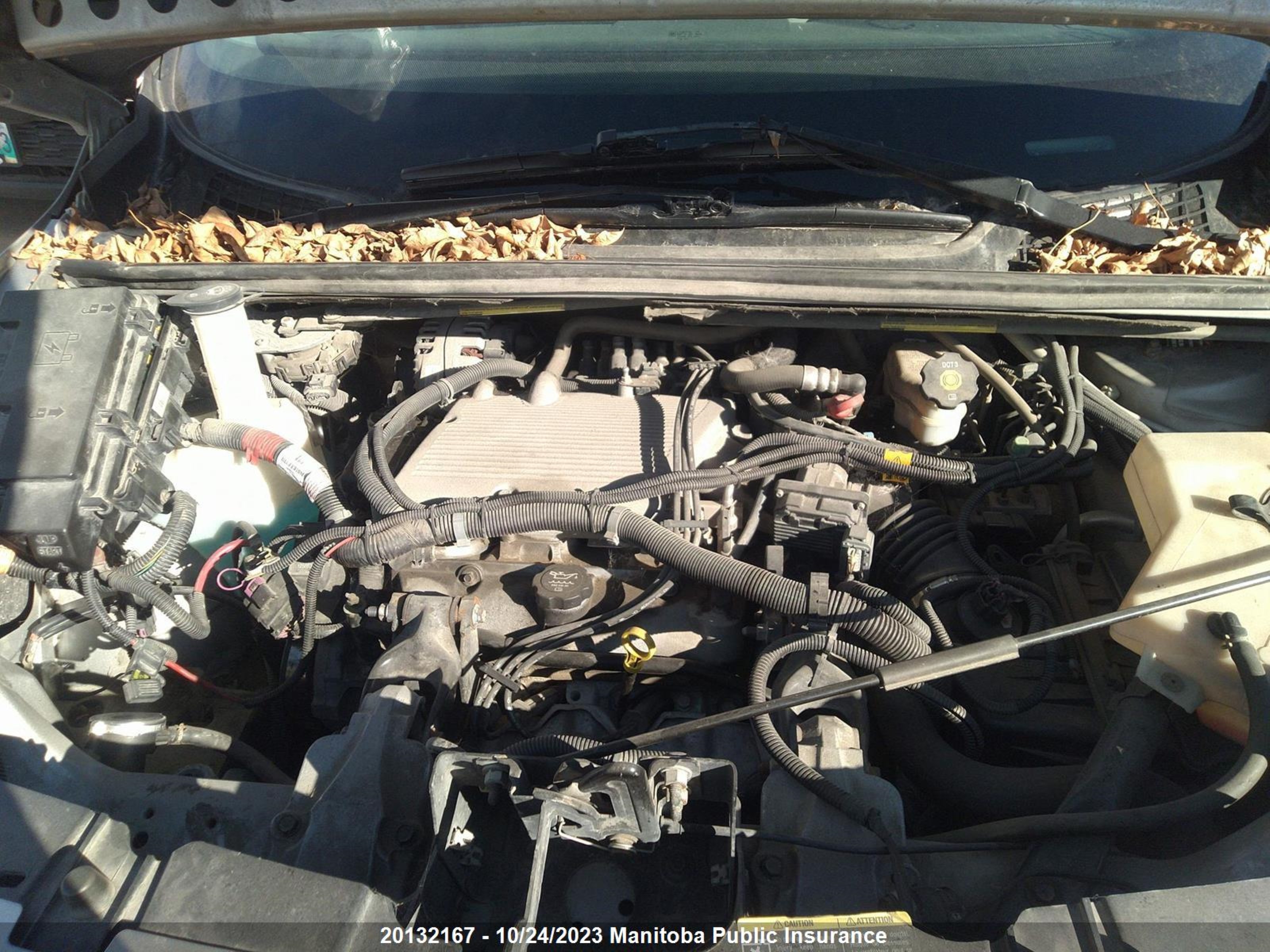 Photo 9 VIN: 1GMDV23L55D287447 - PONTIAC MONTANA 