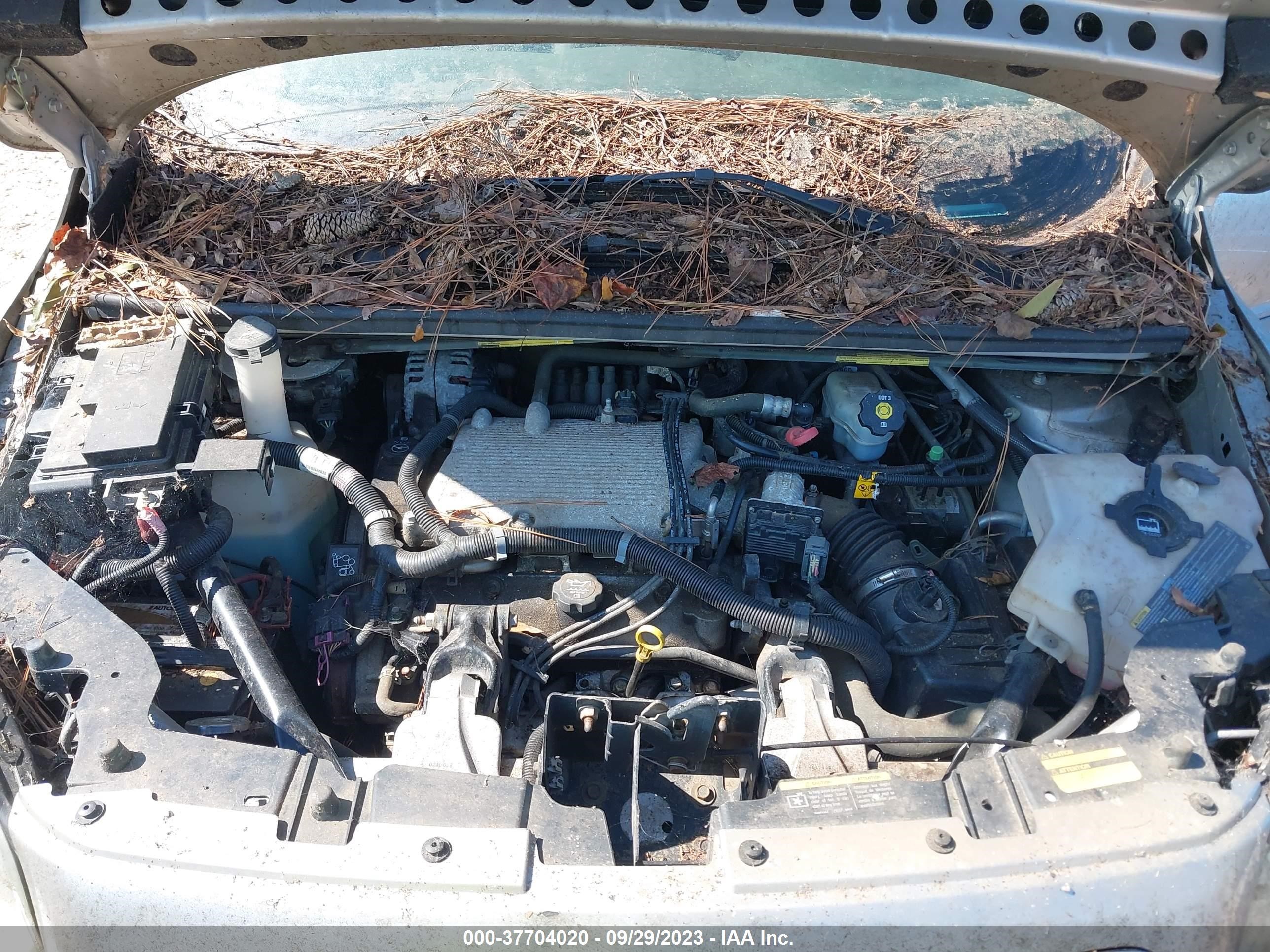 Photo 9 VIN: 1GMDX33L05D235904 - PONTIAC MONTANA 