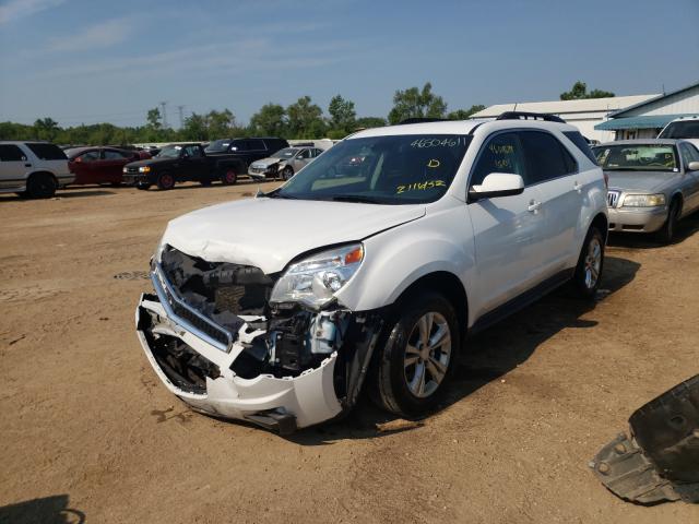 Photo 1 VIN: 1GNALBEK4EZ116152 - CHEVROLET EQUINOX LT 