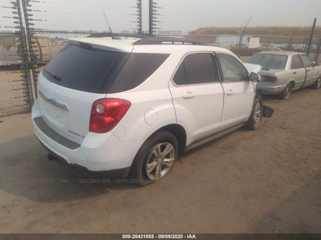 Photo 3 VIN: 1GNALDEK4DZ112239 - CHEVROLET EQUINOX 