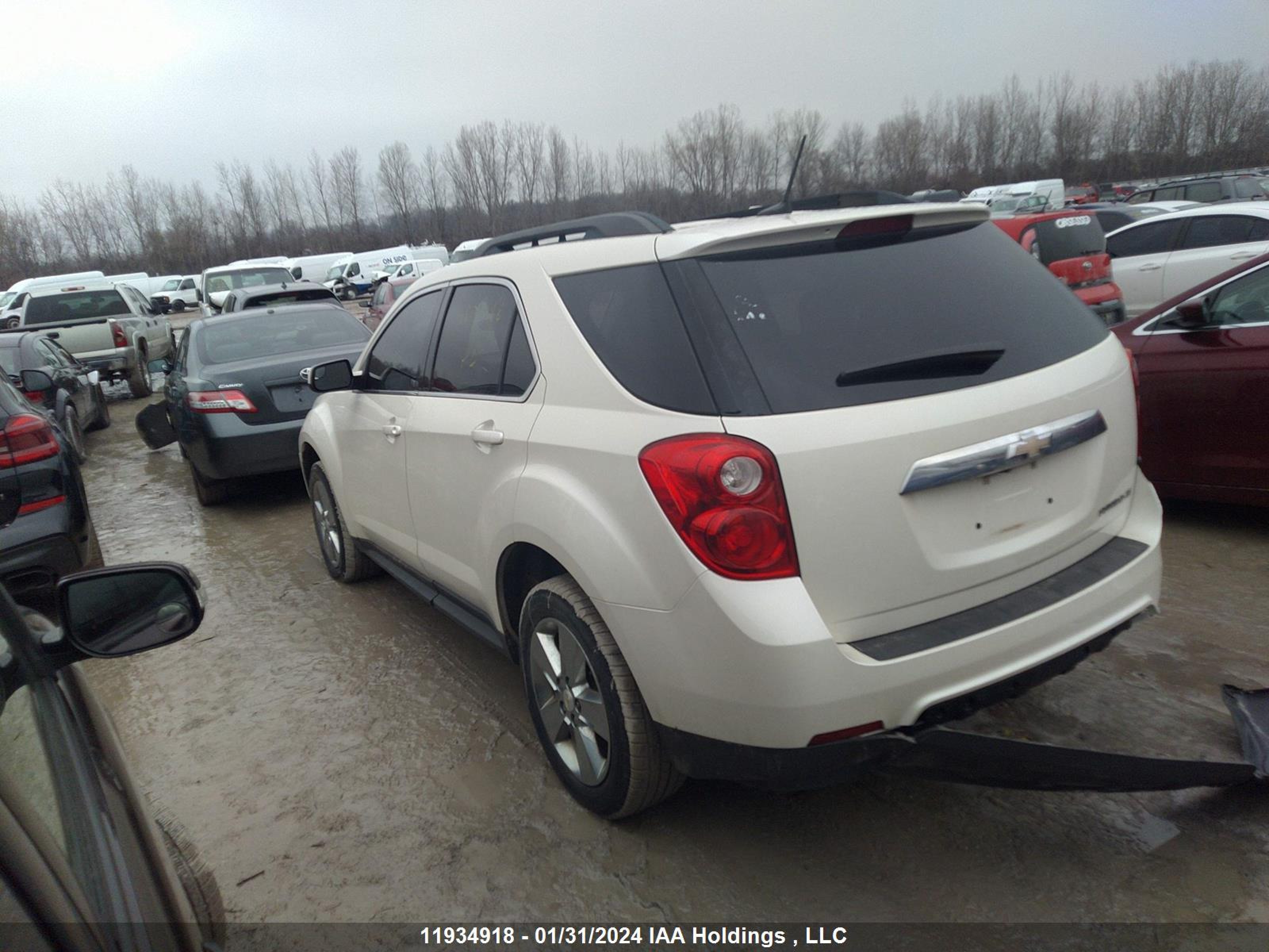 Photo 2 VIN: 1GNALDEK4DZ128649 - CHEVROLET EQUINOX 