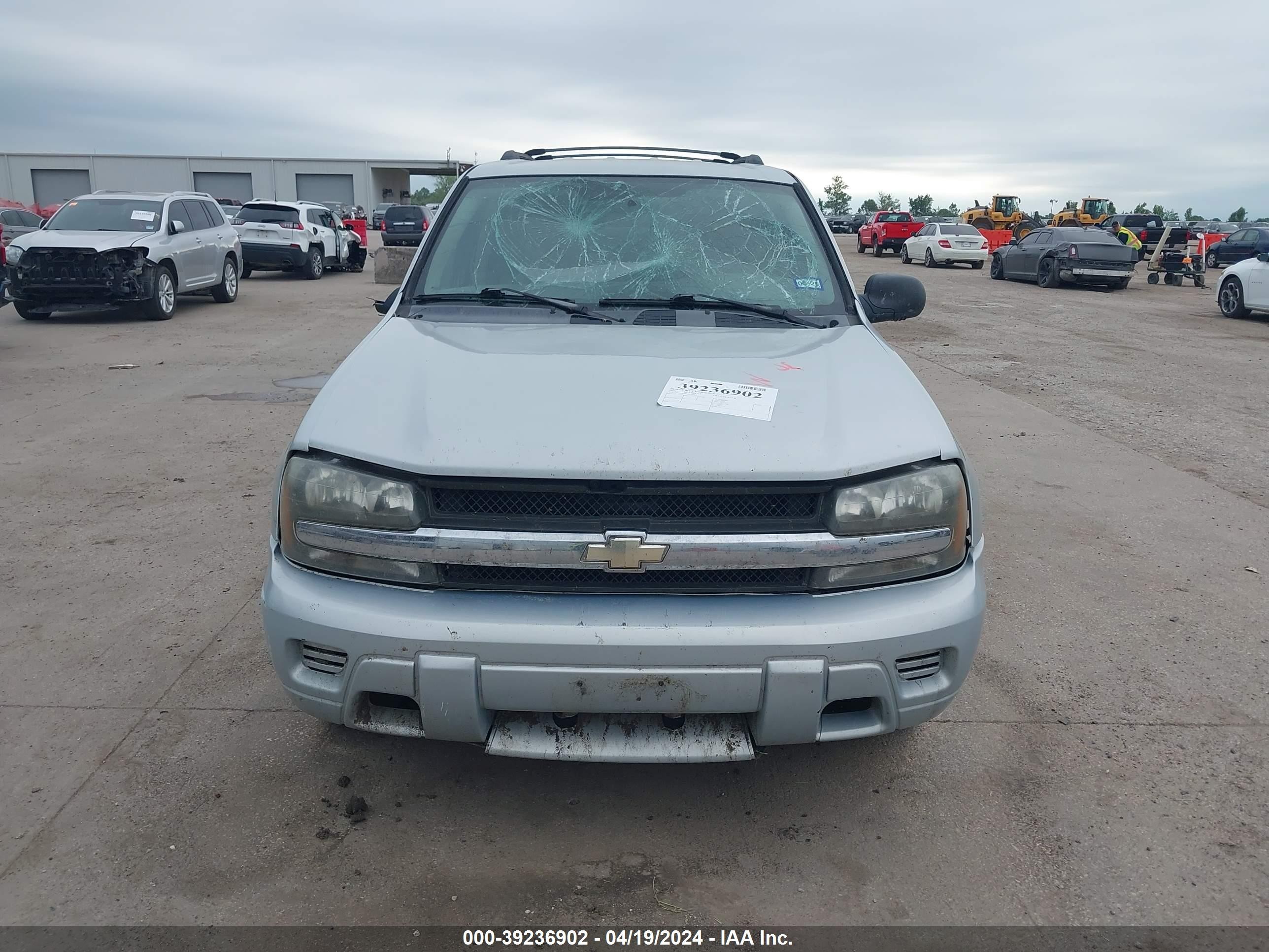 Photo 10 VIN: 1GNDS13S182194494 - CHEVROLET TRAILBLAZER 