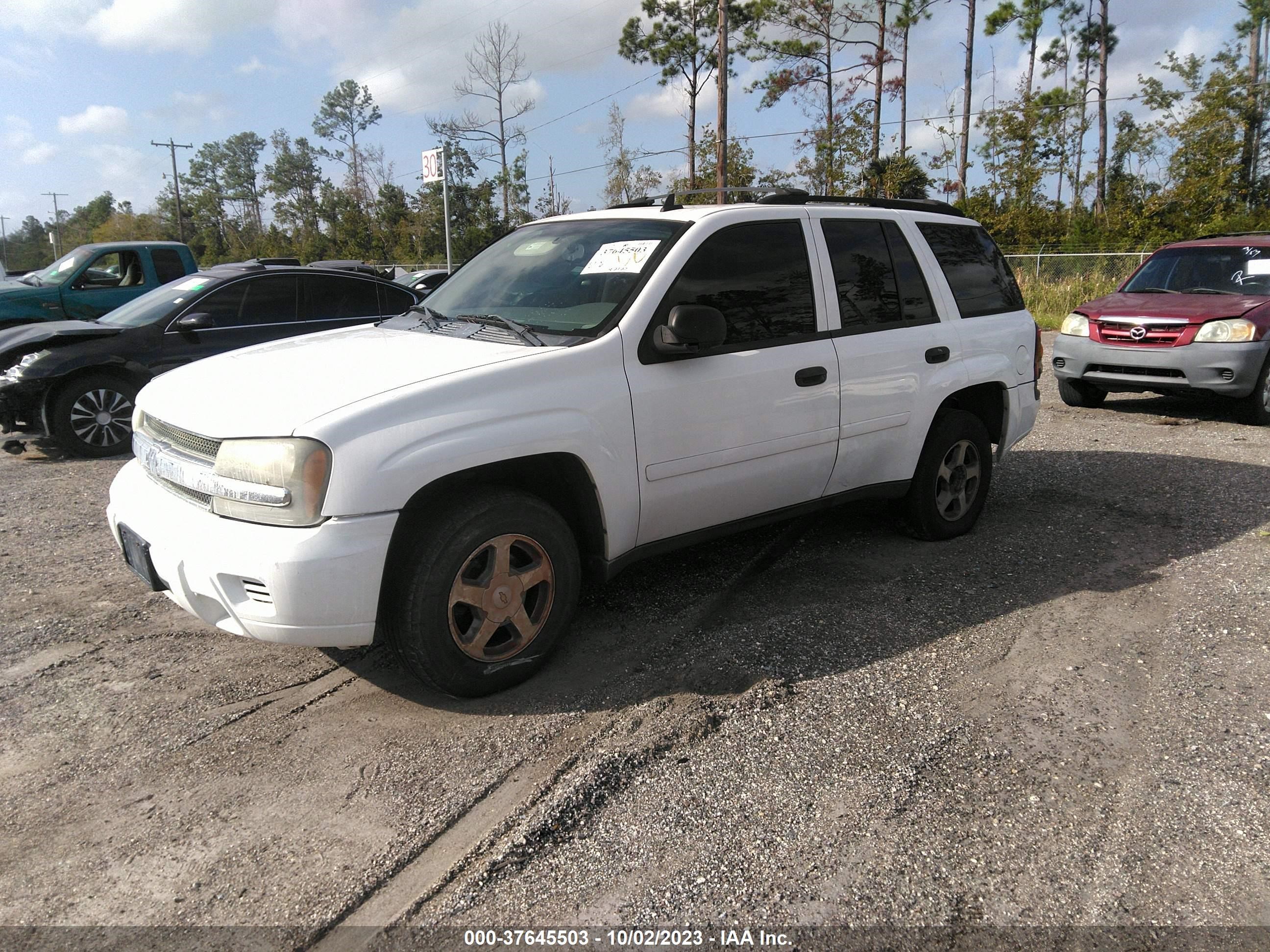 Photo 1 VIN: 1GNDS13S362136948 - CHEVROLET TRAILBLAZER 