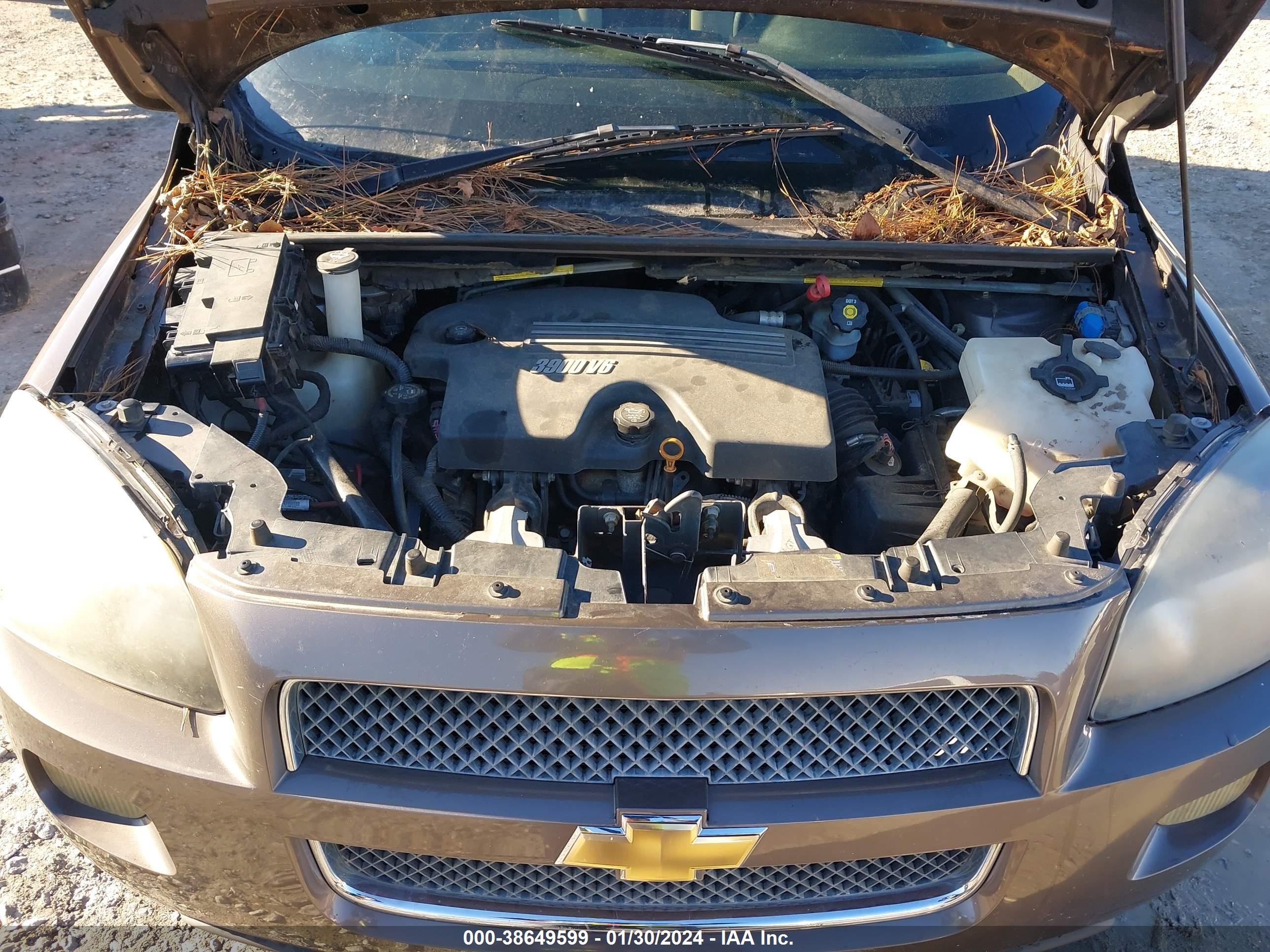 Photo 9 VIN: 1GNDV23W68D166257 - CHEVROLET UPLANDER 