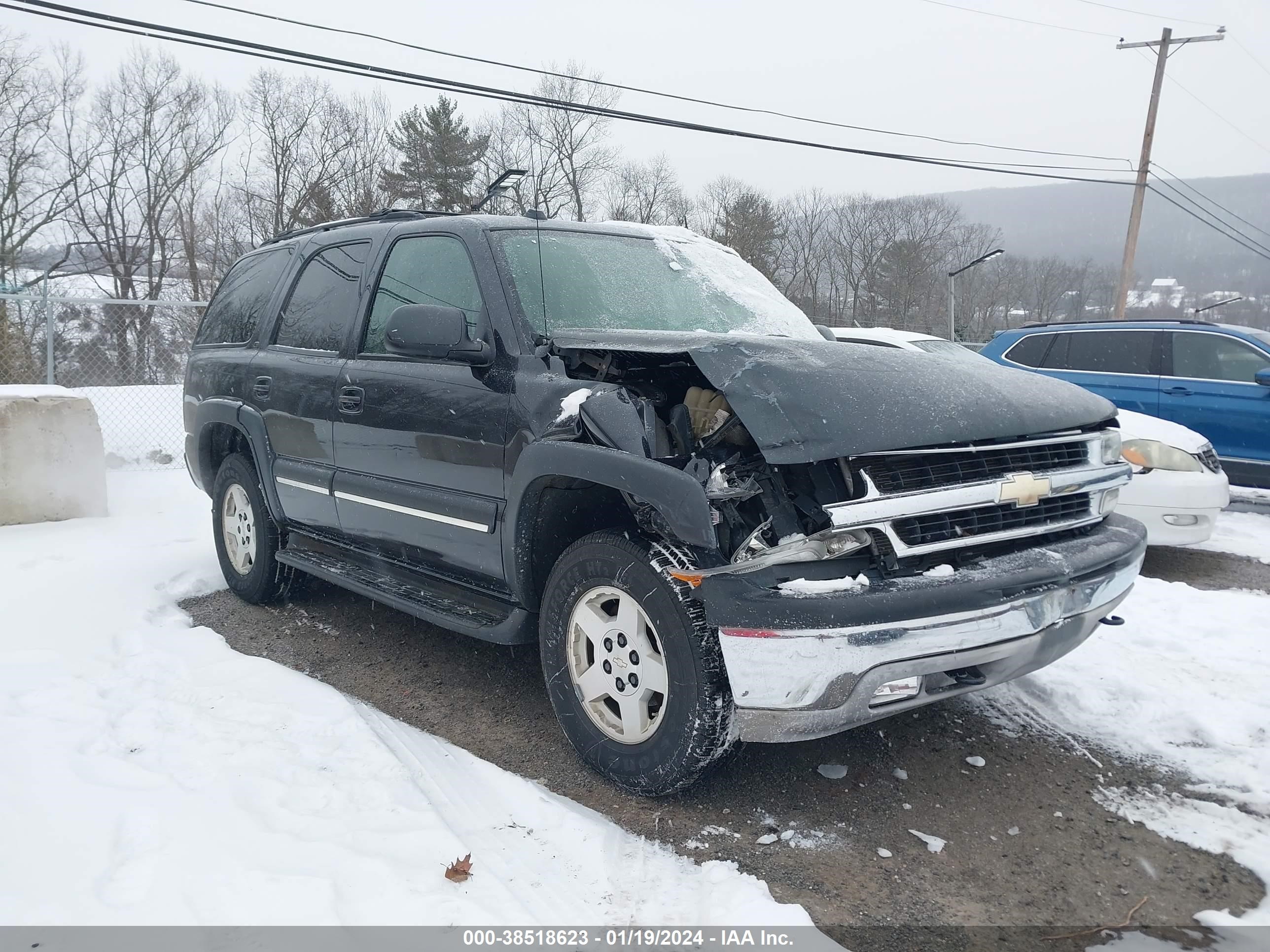 Photo 0 VIN: 1GNEK13T84J273318 - CHEVROLET TAHOE 