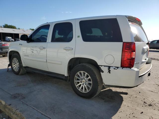 Photo 1 VIN: 1GNFC13569R127172 - CHEVROLET TAHOE HYBR 