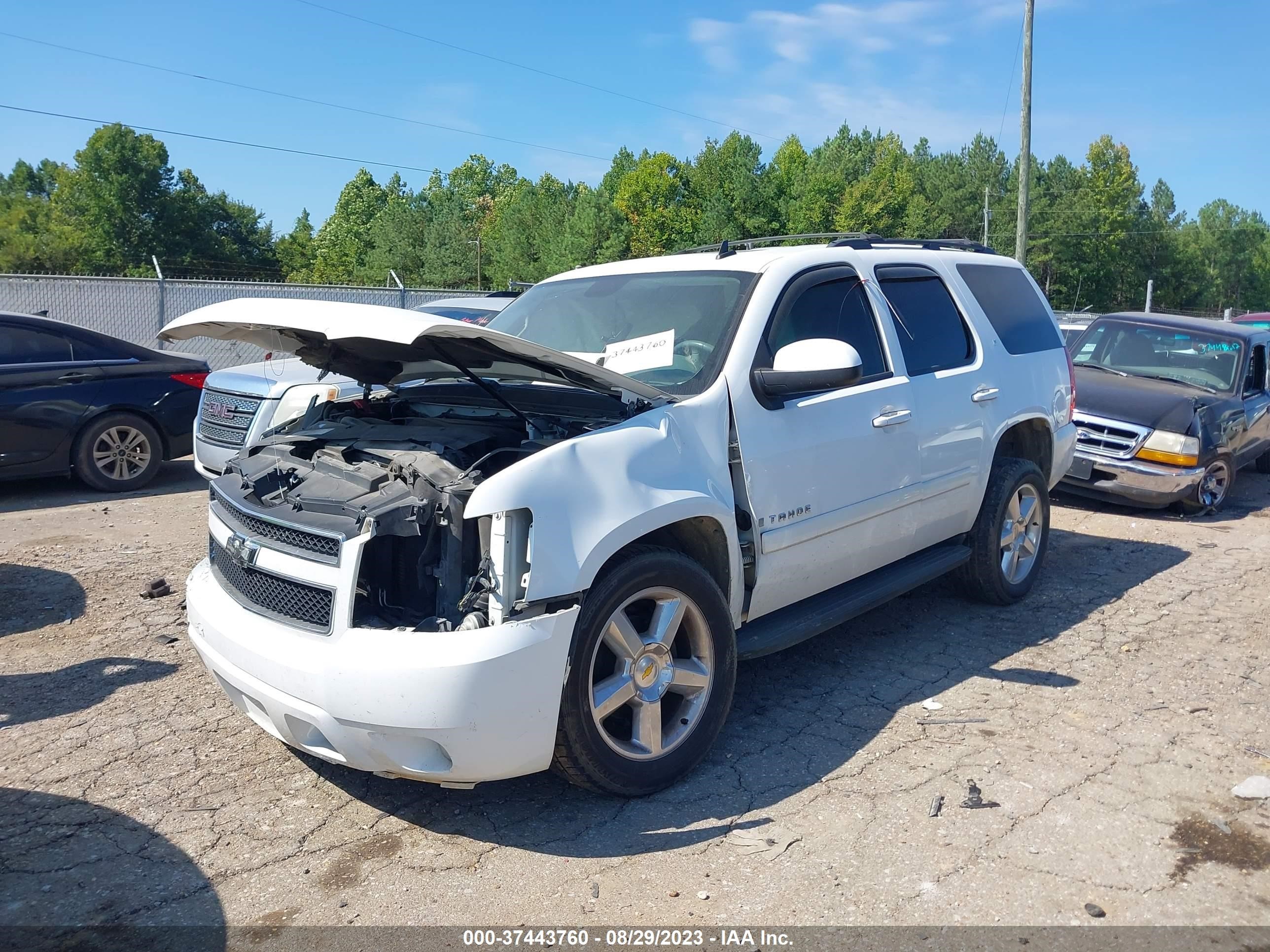 Photo 1 VIN: 1GNFC23J39R148175 - CHEVROLET TAHOE 