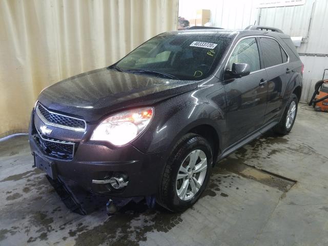 Photo 1 VIN: 1GNFLGEK3EZ135648 - CHEVROLET EQUINOX LT 