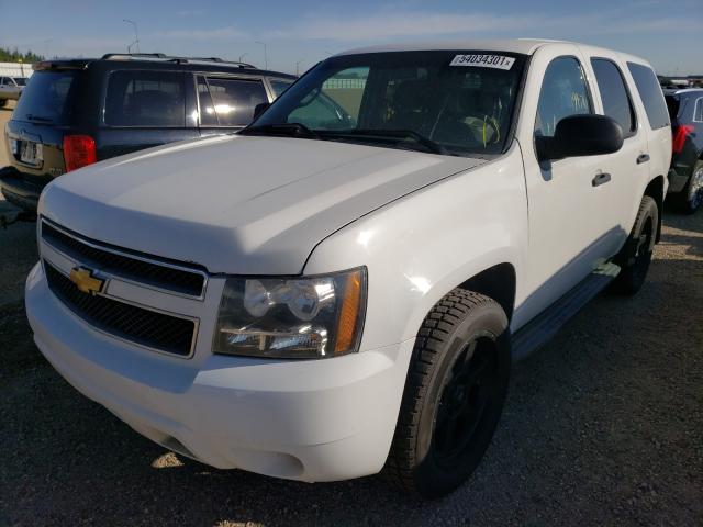 Photo 1 VIN: 1GNLC2E01DR286832 - CHEVROLET TAHOE POLI 