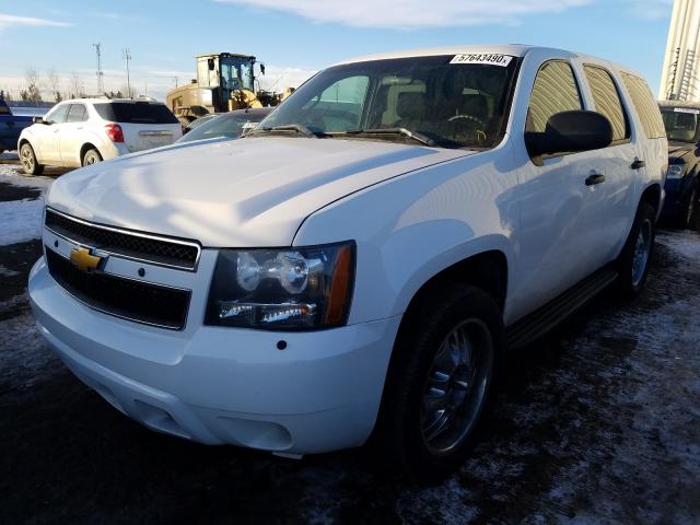 Photo 1 VIN: 1GNLC2E08DR353278 - CHEVROLET TAHOE POLI 