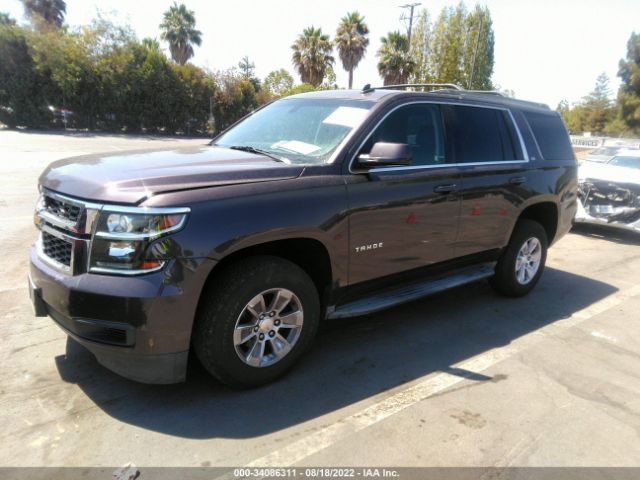 Photo 1 VIN: 1GNSCAEC4FR106603 - CHEVROLET TAHOE 