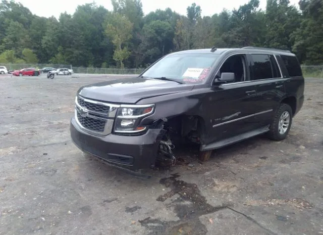 Photo 1 VIN: 1GNSCAEC8FR282960 - CHEVROLET TAHOE 