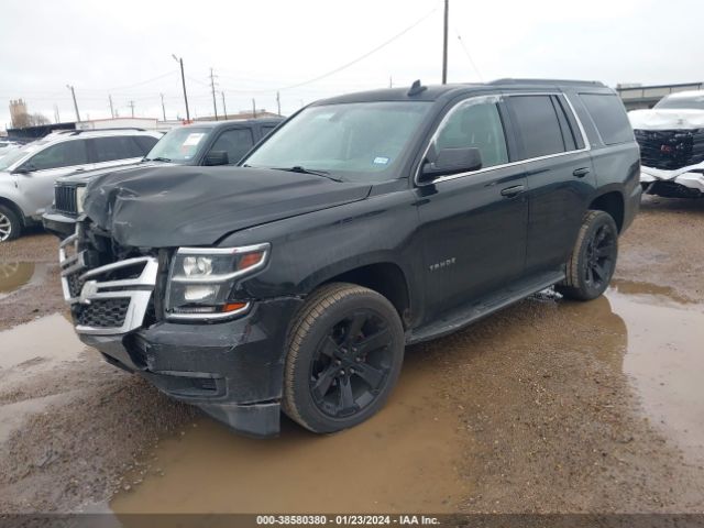 Photo 1 VIN: 1GNSCAKC0GR202928 - CHEVROLET TAHOE 