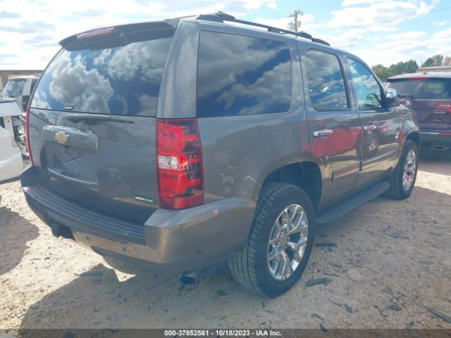 Photo 3 VIN: 1GNSCBE01BR389144 - CHEVROLET TAHOE 