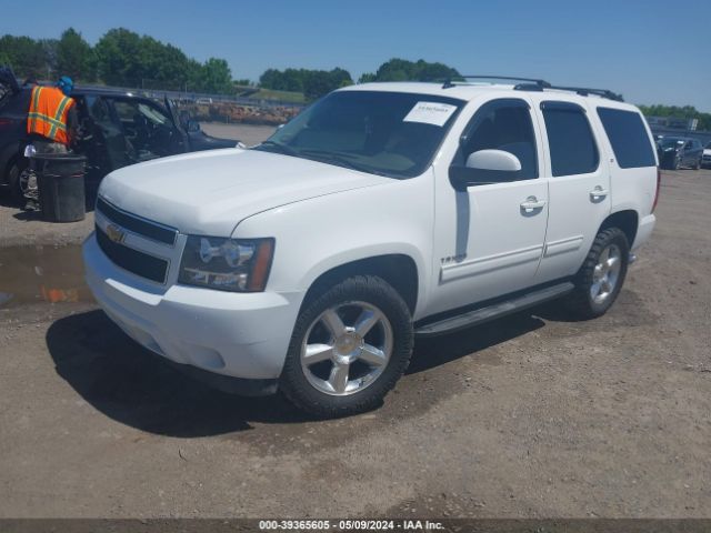 Photo 1 VIN: 1GNSCBE04DR209996 - CHEVROLET TAHOE 