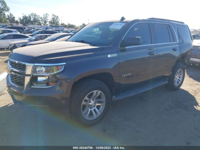 Photo 1 VIN: 1GNSCBKC2FR166616 - CHEVROLET TAHOE 