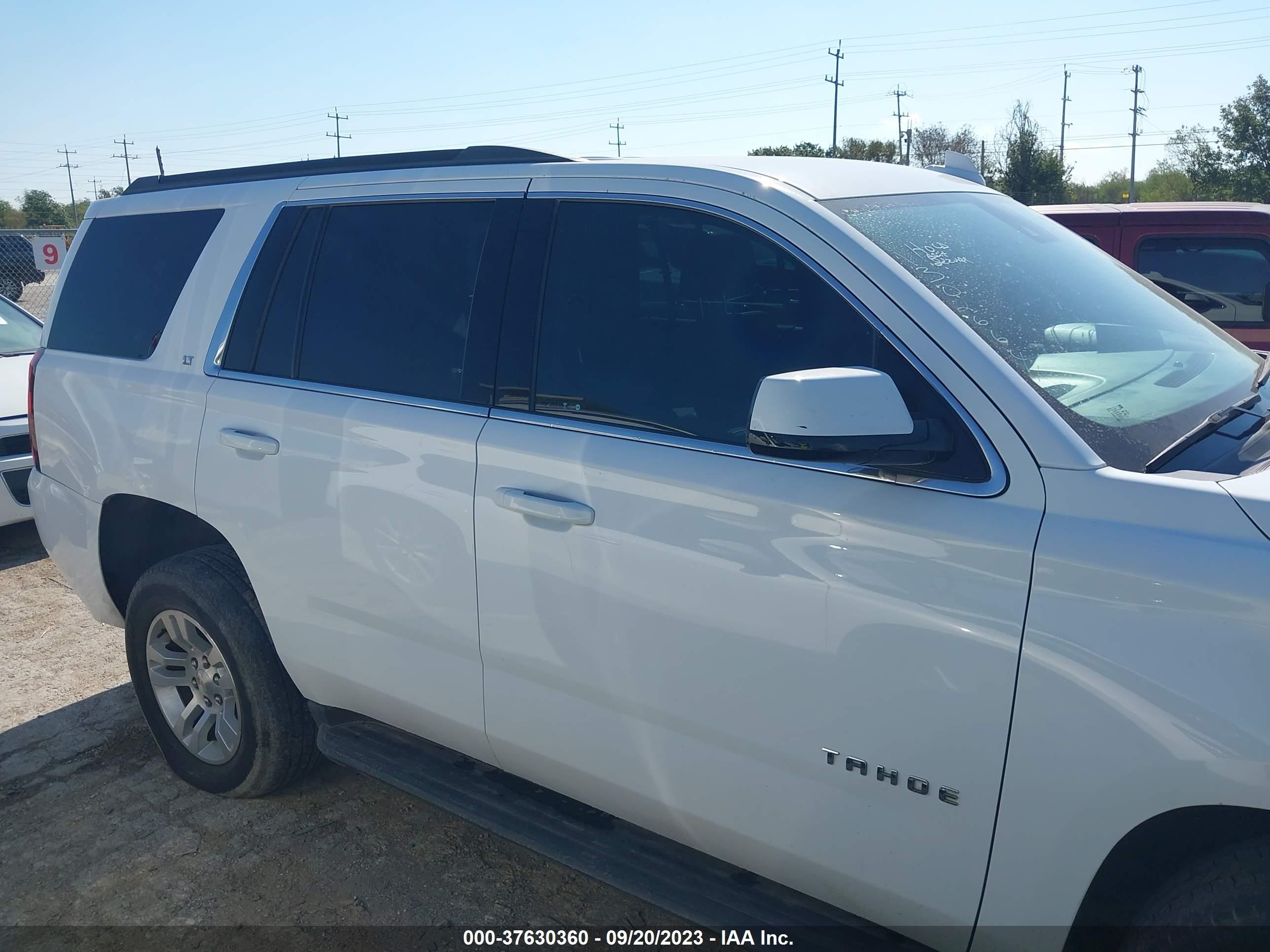 Photo 12 VIN: 1GNSCBKC2LR308071 - CHEVROLET TAHOE 