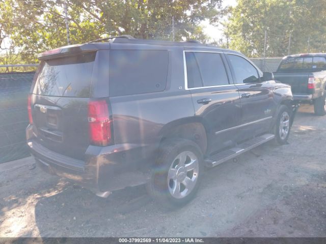 Photo 3 VIN: 1GNSCBKC9HR231982 - CHEVROLET TAHOE 