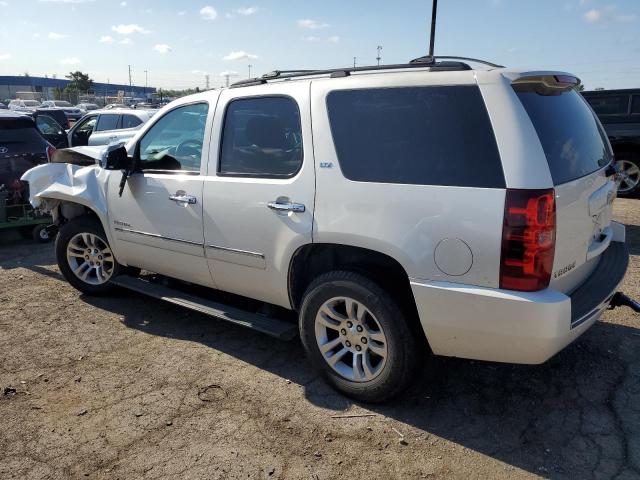 Photo 1 VIN: 1GNSCCE0XDR169185 - CHEVROLET TAHOE 