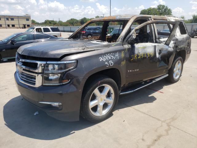 Photo 1 VIN: 1GNSCCKC4JR231951 - CHEVROLET TAHOE C150 