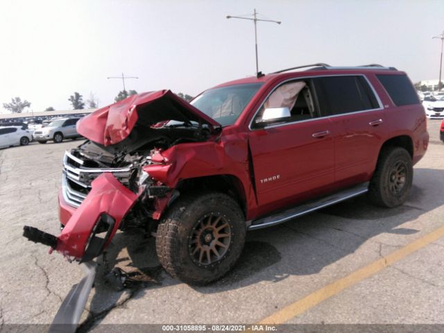 Photo 1 VIN: 1GNSCCKC8FR154377 - CHEVROLET TAHOE 