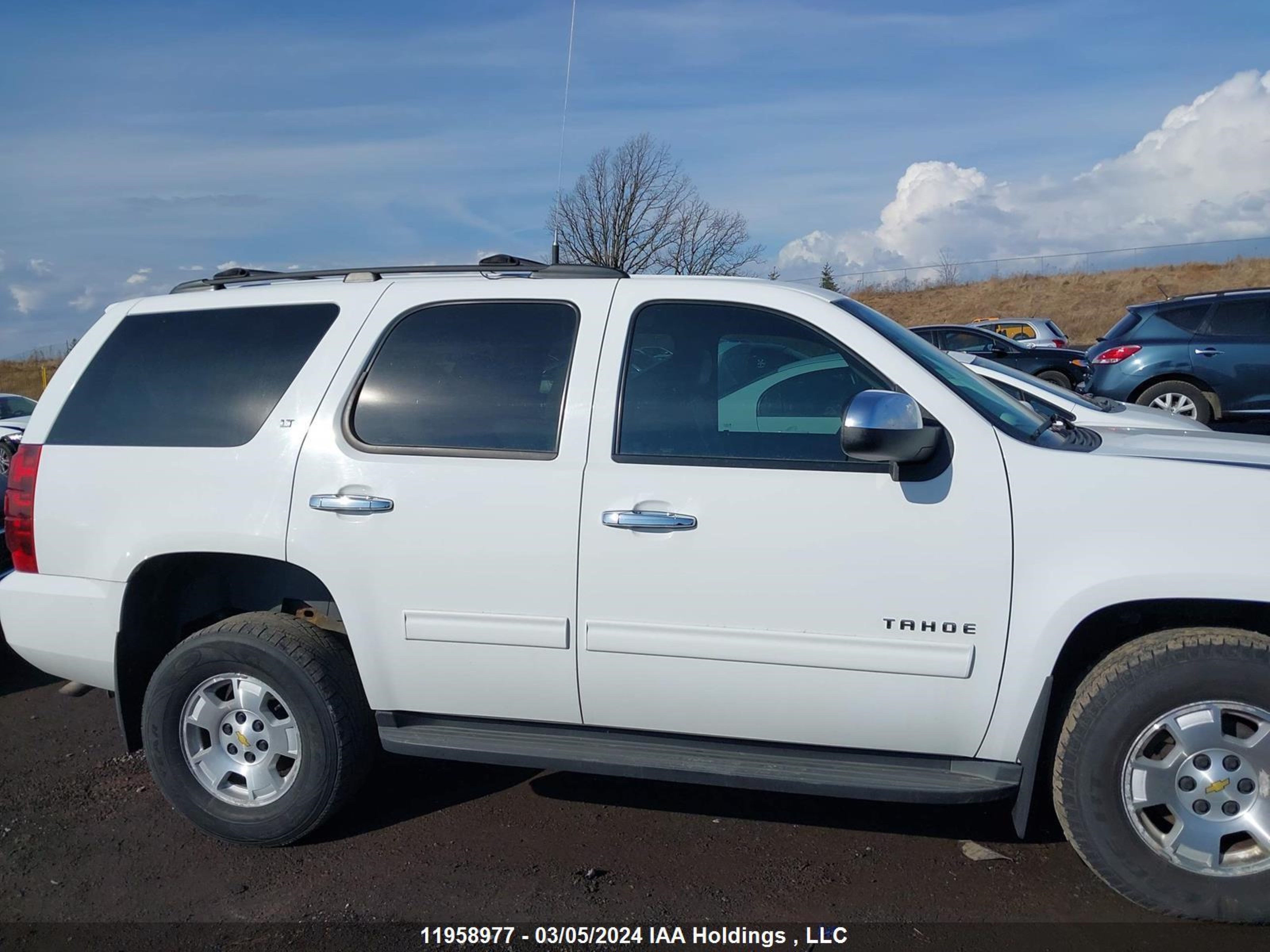 Photo 12 VIN: 1GNSKBE08BR346598 - CHEVROLET TAHOE 