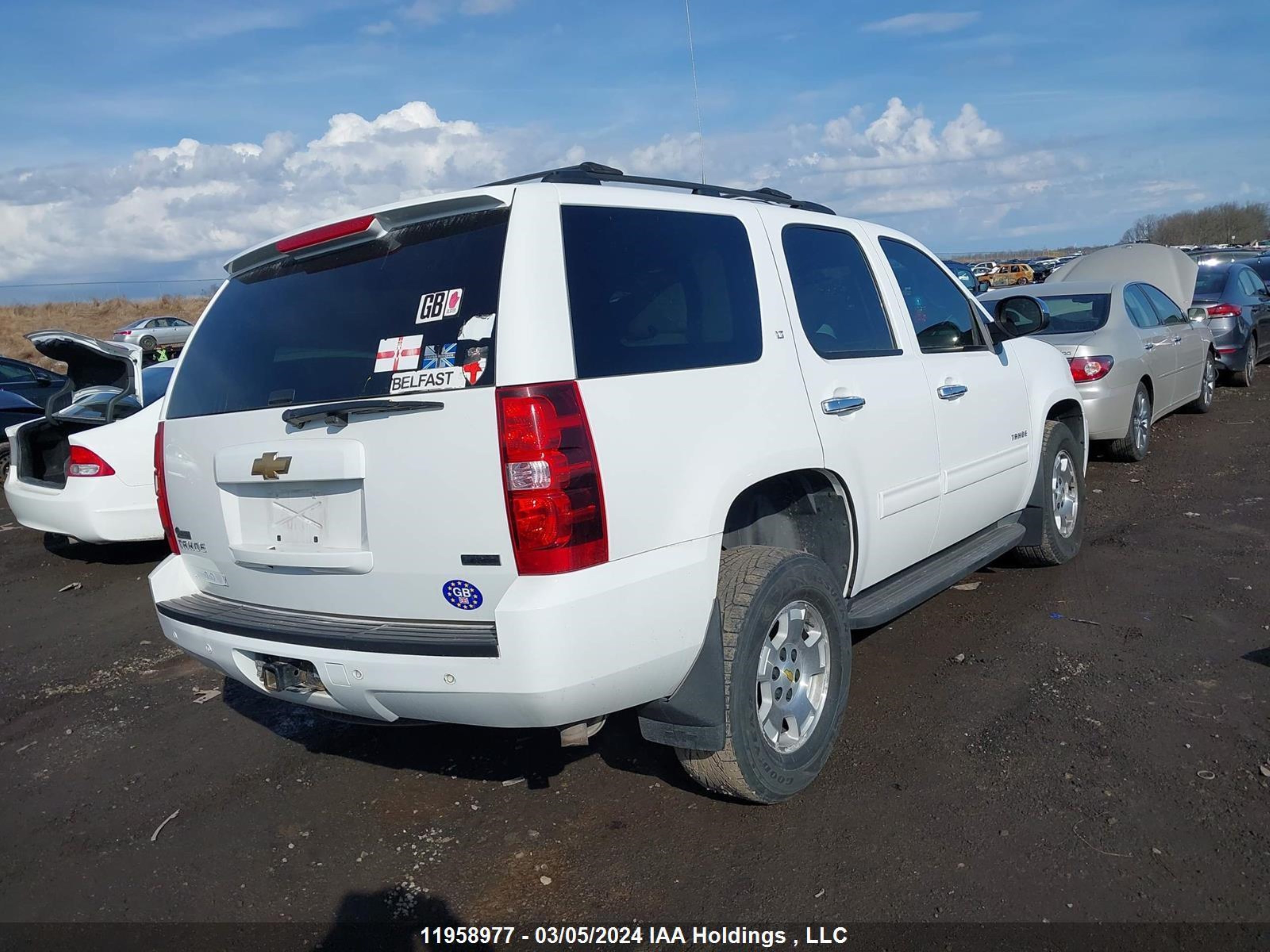 Photo 3 VIN: 1GNSKBE08BR346598 - CHEVROLET TAHOE 