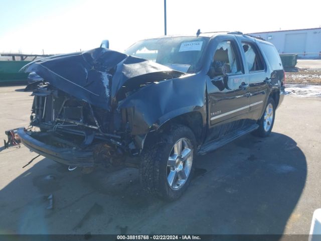 Photo 1 VIN: 1GNSKCE0XDR320447 - CHEVROLET TAHOE 