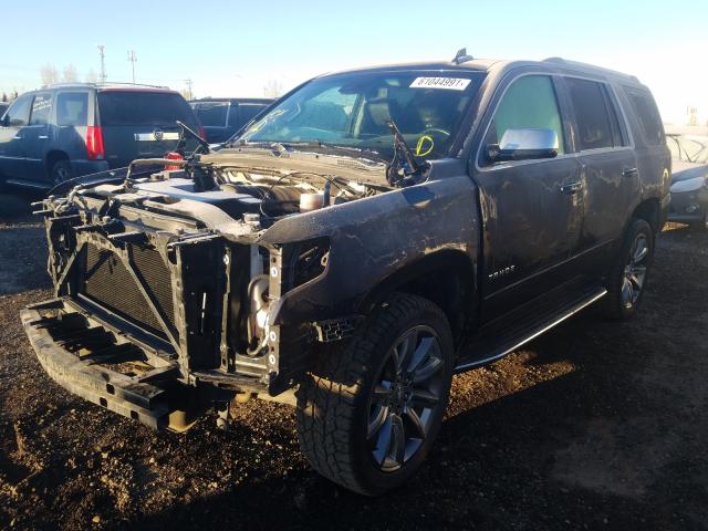 Photo 1 VIN: 1GNSKCKC2HR373082 - CHEVROLET TAHOE K150 