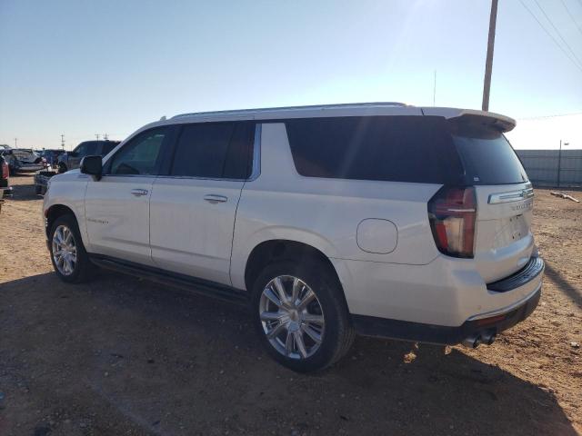 Photo 1 VIN: 1GNSKGKL5MR135826 - CHEVROLET SUBURBAN 