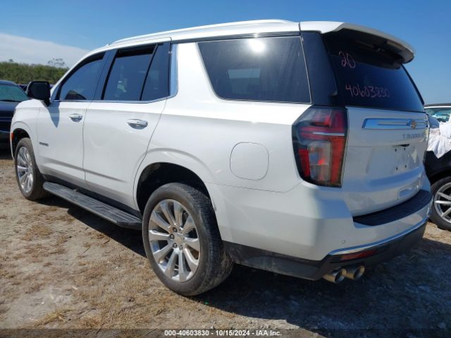 Photo 2 VIN: 1GNSKSKD1PR202583 - CHEVROLET TAHOE 