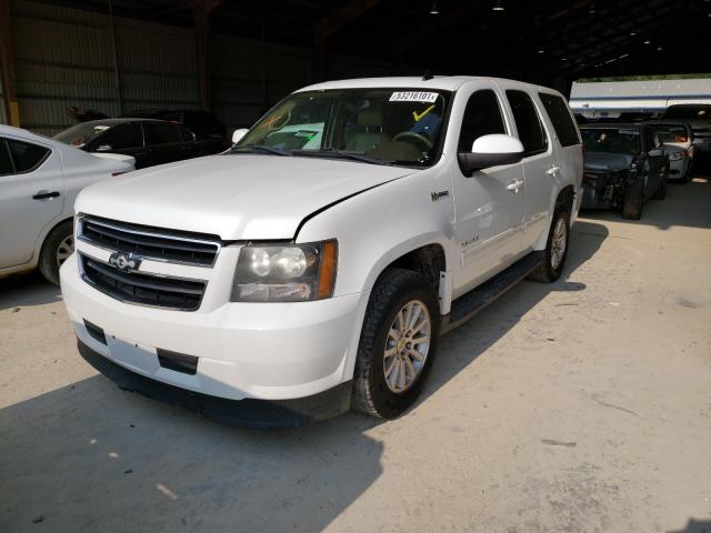 Photo 1 VIN: 1GNUCDDJ2AR174045 - CHEVROLET TAHOE 