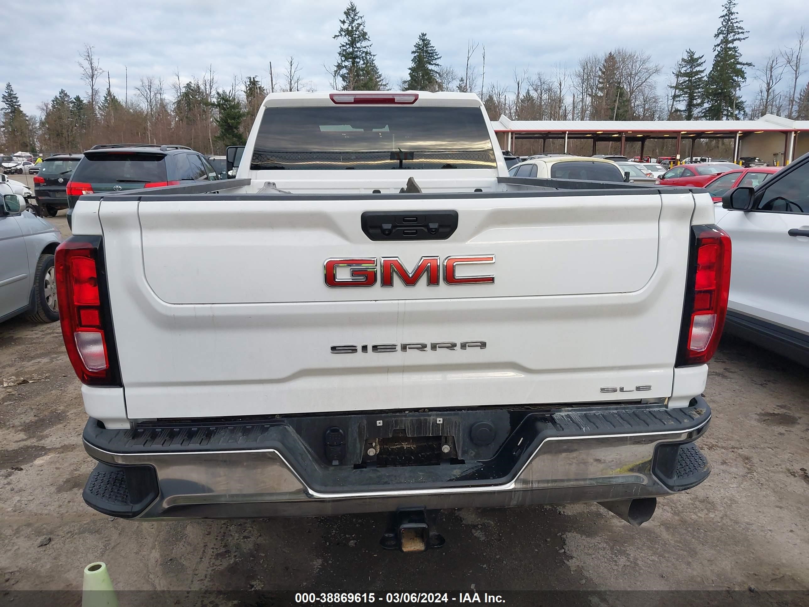 Photo 18 VIN: 1GT49MEY9PF217311 - GMC SIERRA 