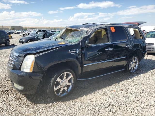 Photo 0 VIN: 1GYEC63877R381671 - CADILLAC ESCALADE L 