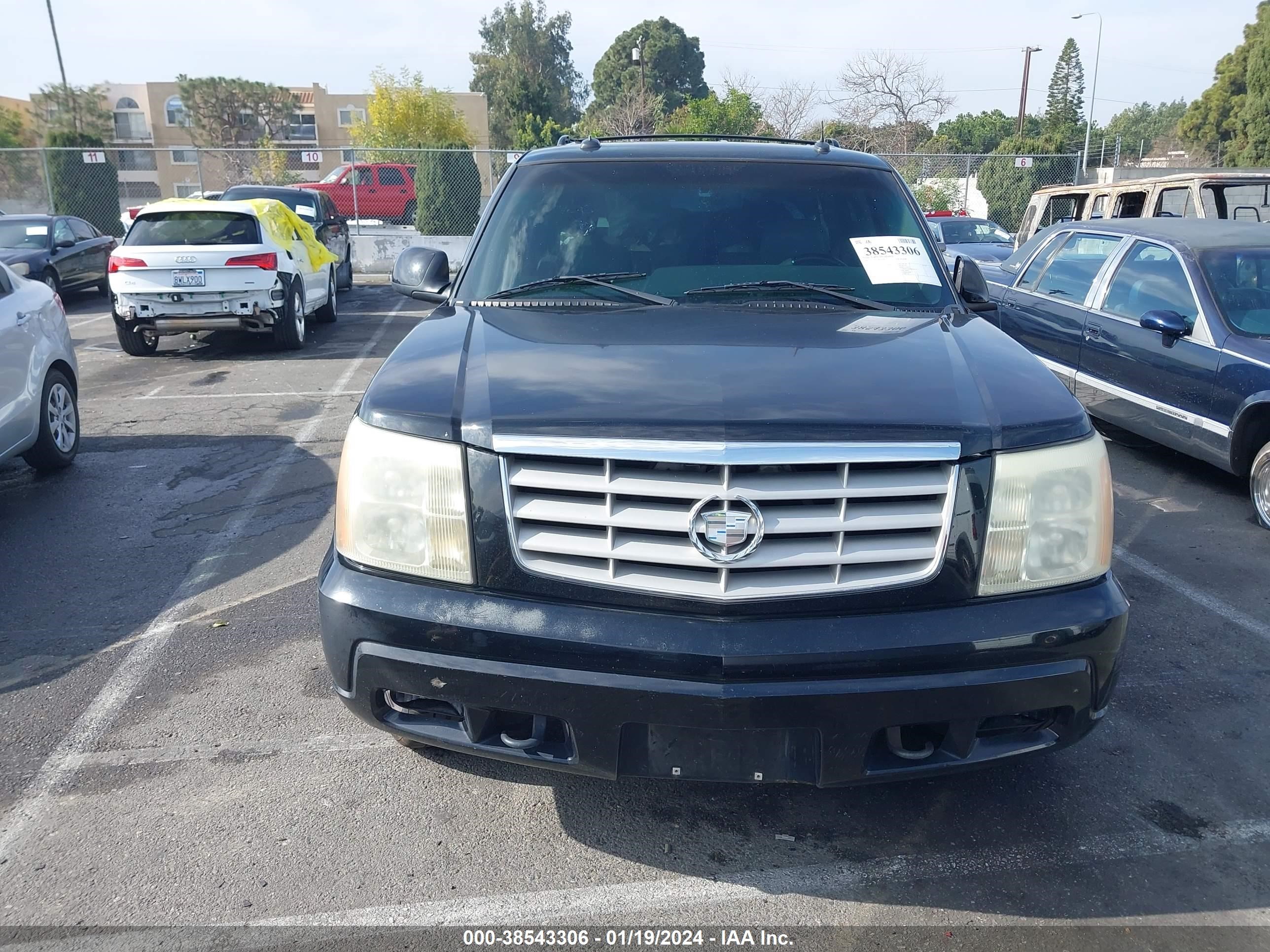 Photo 10 VIN: 1GYEC63T03R211053 - CADILLAC ESCALADE 