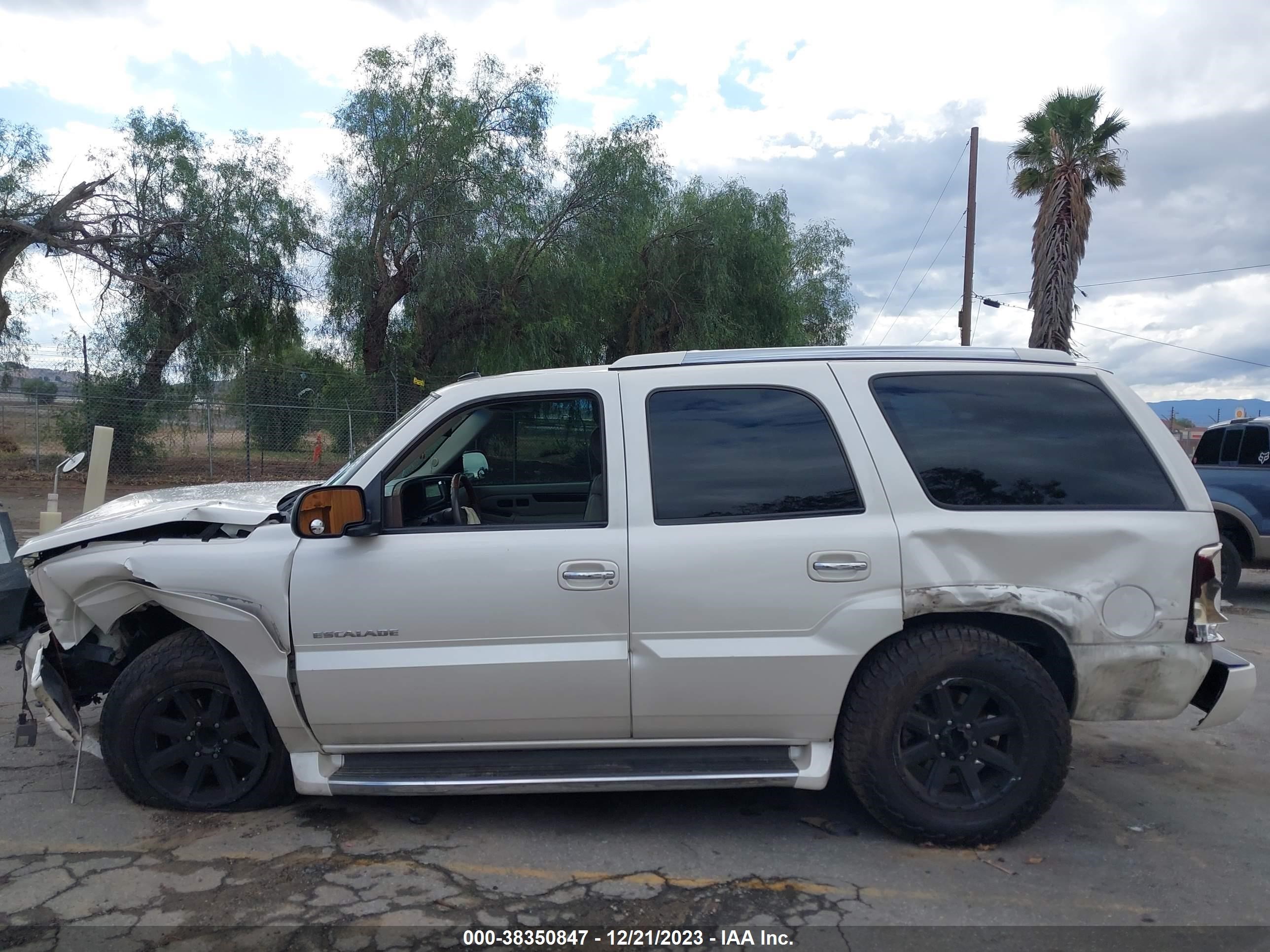 Photo 13 VIN: 1GYEC63T03R298100 - CADILLAC ESCALADE 