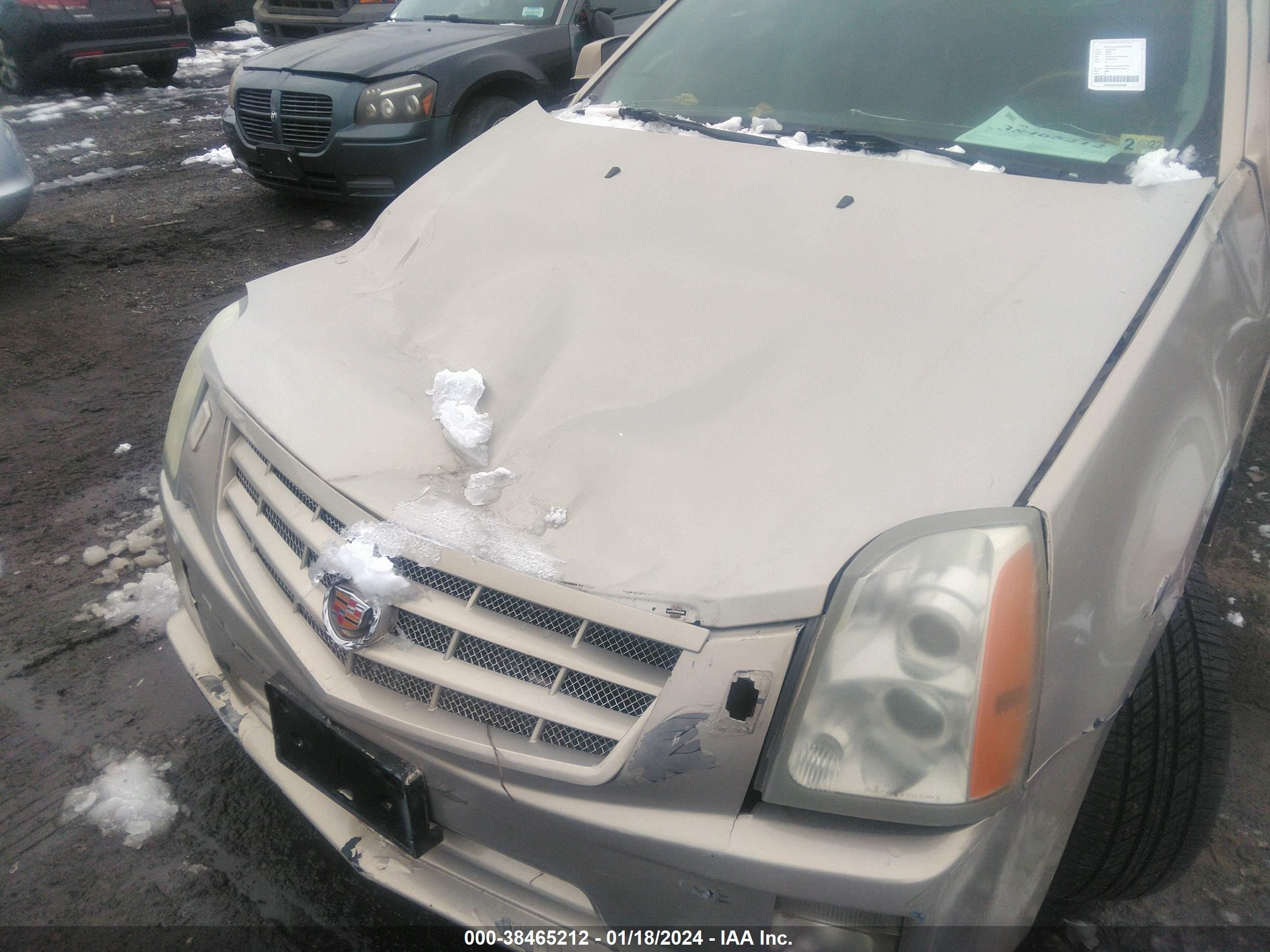 Photo 5 VIN: 1GYEE437090106169 - CADILLAC SRX 