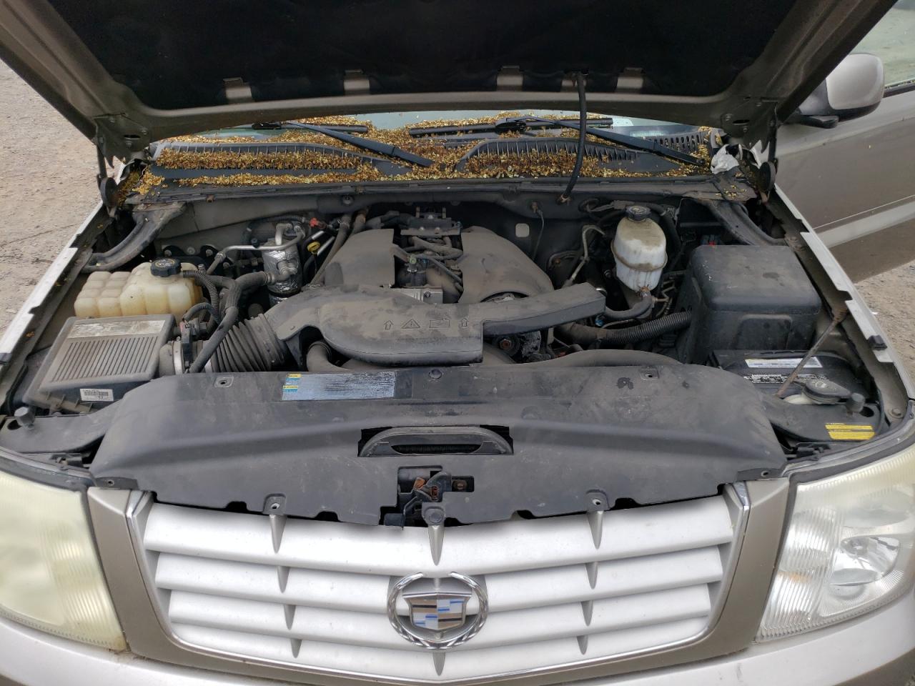 Photo 11 VIN: 1GYEK63N43R282549 - CADILLAC ESCALADE 