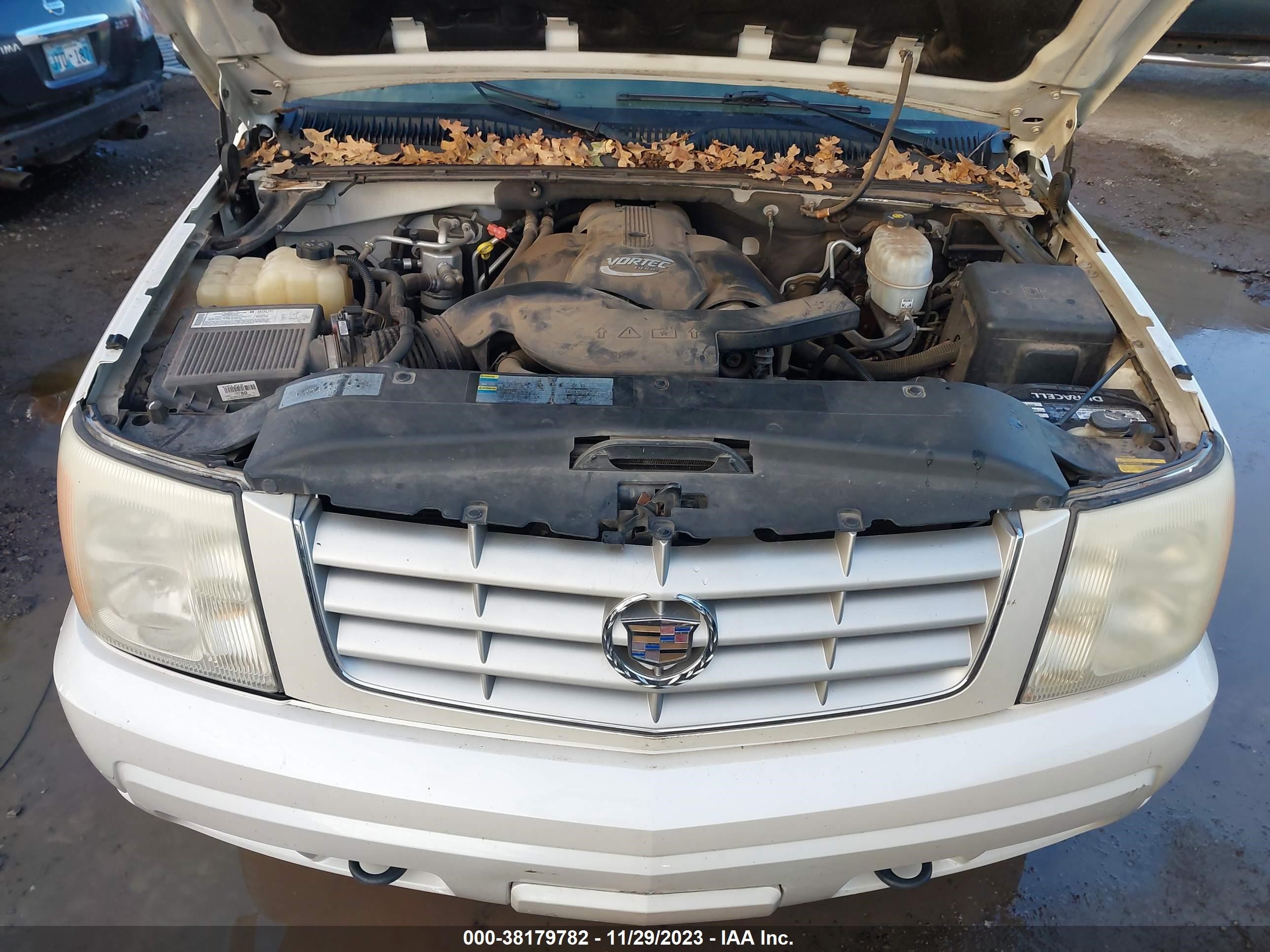 Photo 9 VIN: 1GYEK63N65R163131 - CADILLAC ESCALADE 