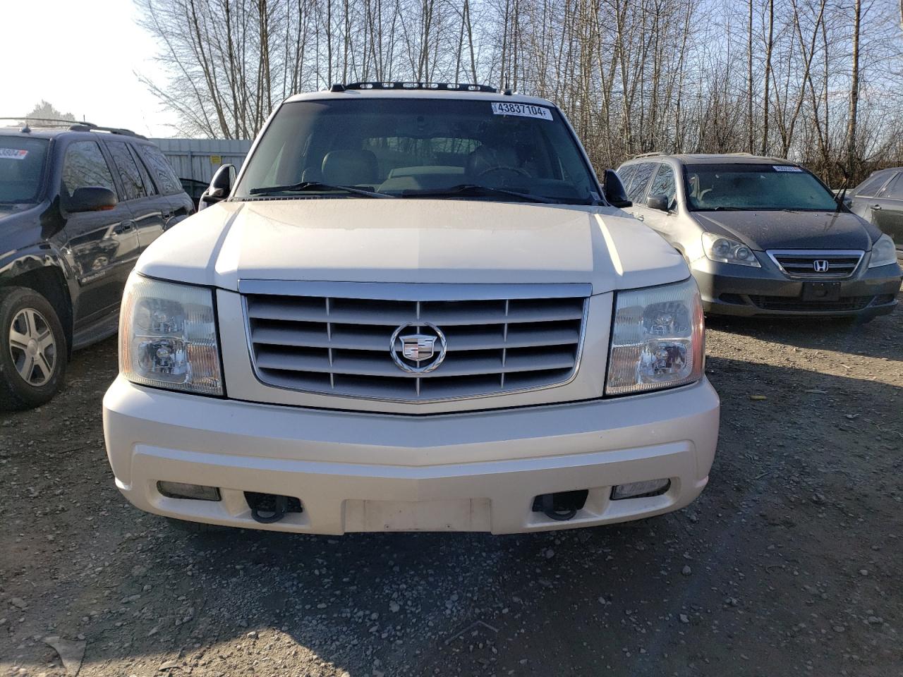 Photo 4 VIN: 1GYEK63N84R158110 - CADILLAC ESCALADE 